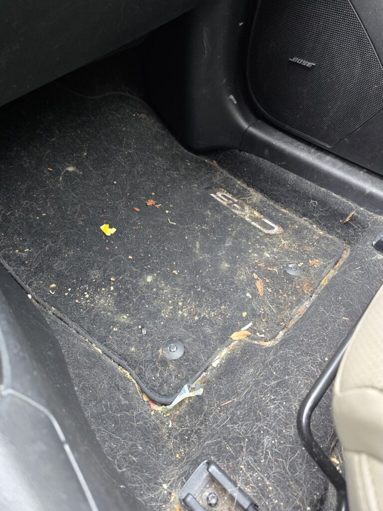 interior clean