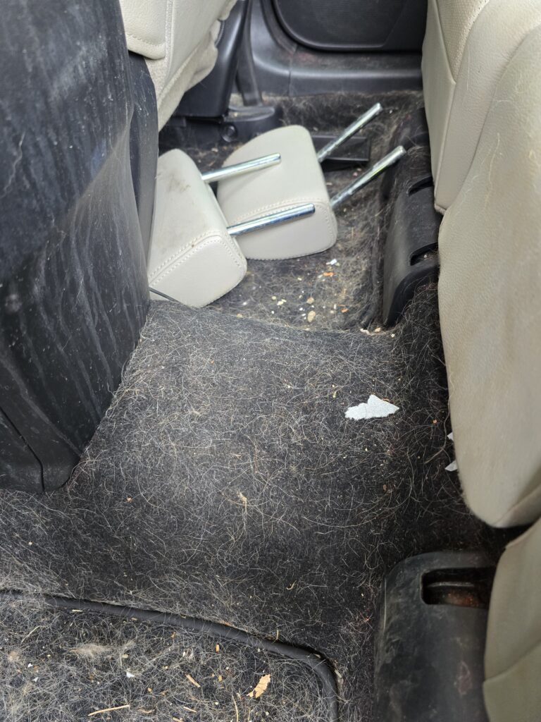odor removal