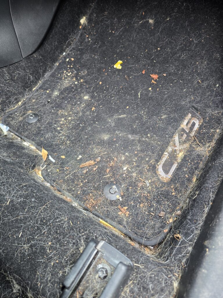 interior clean